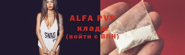 apvp Алзамай