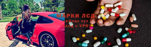 apvp Алзамай