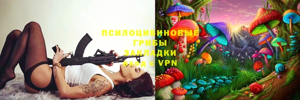 apvp Алзамай