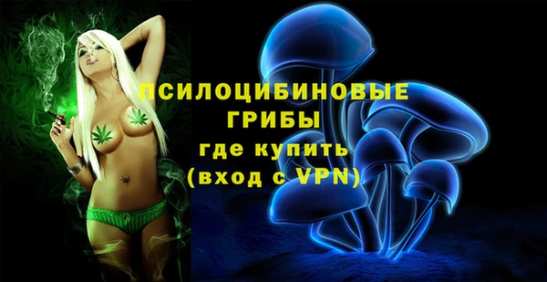 МДПВ Алексеевка