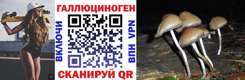 даркнет как зайти kraken как зайти Галлюциногенные грибы Psilocybine cubensis Егорьевск купить наркотик