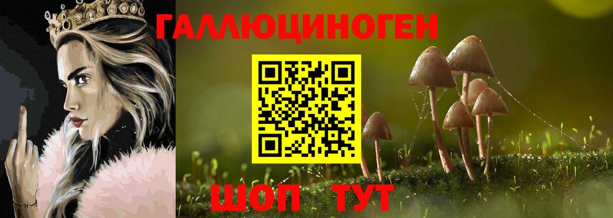 Псилоцибиновые грибы мицелий  Вход с VPN  Егорьевск 