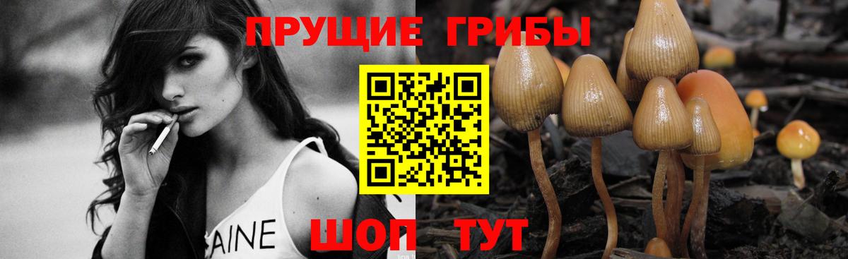 Псилоцибиновые грибы ЛСД Егорьевск